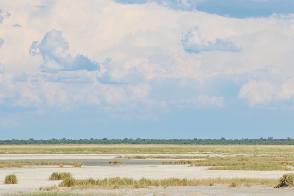 Готель South Mobile Camp Nxai Pan National Park Екстер'єр фото