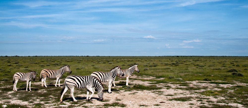 Готель South Mobile Camp Nxai Pan National Park Екстер'єр фото